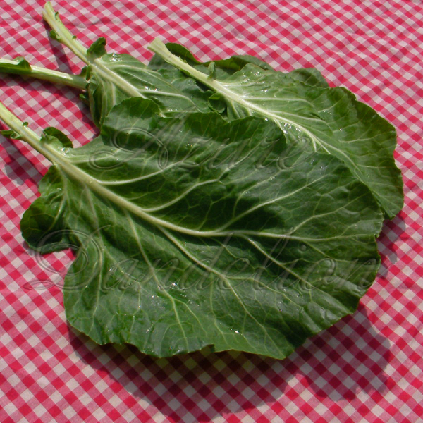 Georgia Collards