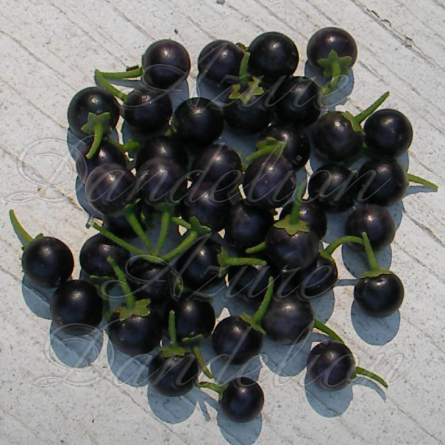 huckleberry1wm