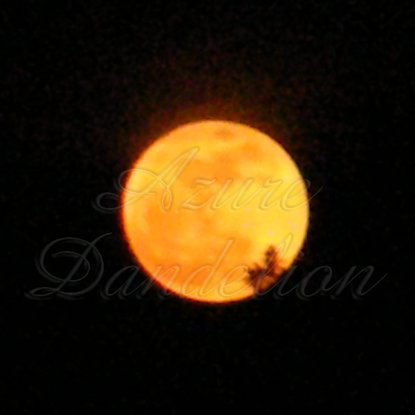 Big Orange Moon