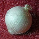 Heirloom White Sweet Spanish Onion Vegetable Seed Heirloom White Sweet Spanish Onion Vegetable Seed