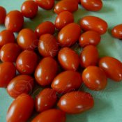Heirloom Riesentraube Red Tomato Seed
