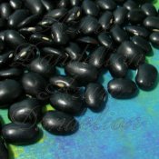 Heirloom Ayocote Negro Black Runner Bean Seed