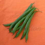 Heirloom Kentucky Wonder Old Homestead Pole Bean Seed